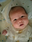 Alexander